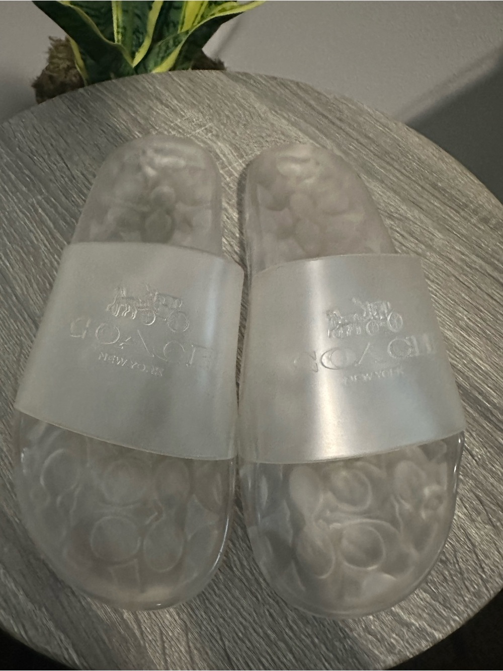 Coach Clear Jelly Slide Sandals - Transparent - Picture 3 of 3